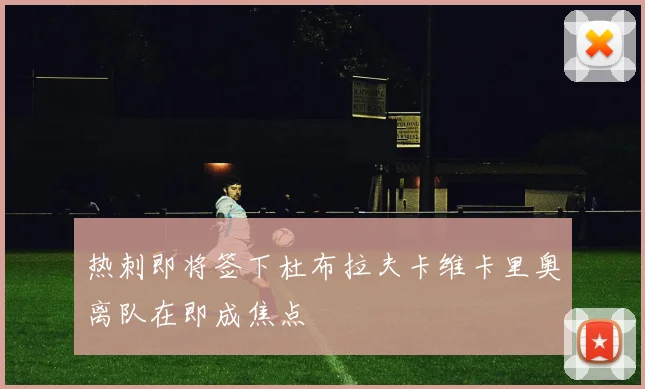 热刺即将签下杜布拉夫卡维卡里奥离队在即成焦点