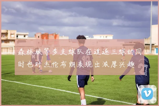 森林狼等多支球队在追逐三球的同时也对杰伦布朗表现出浓厚兴趣