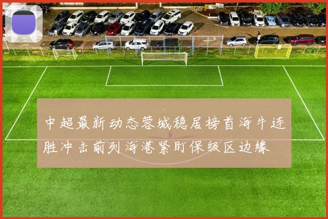 中超最新动态蓉城稳居榜首海牛连胜冲击前列海港紧盯保级区边缘